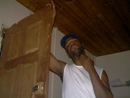 steeve 